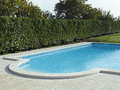 terrassement piscine
